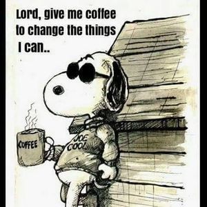 Meet your Posher, Judy